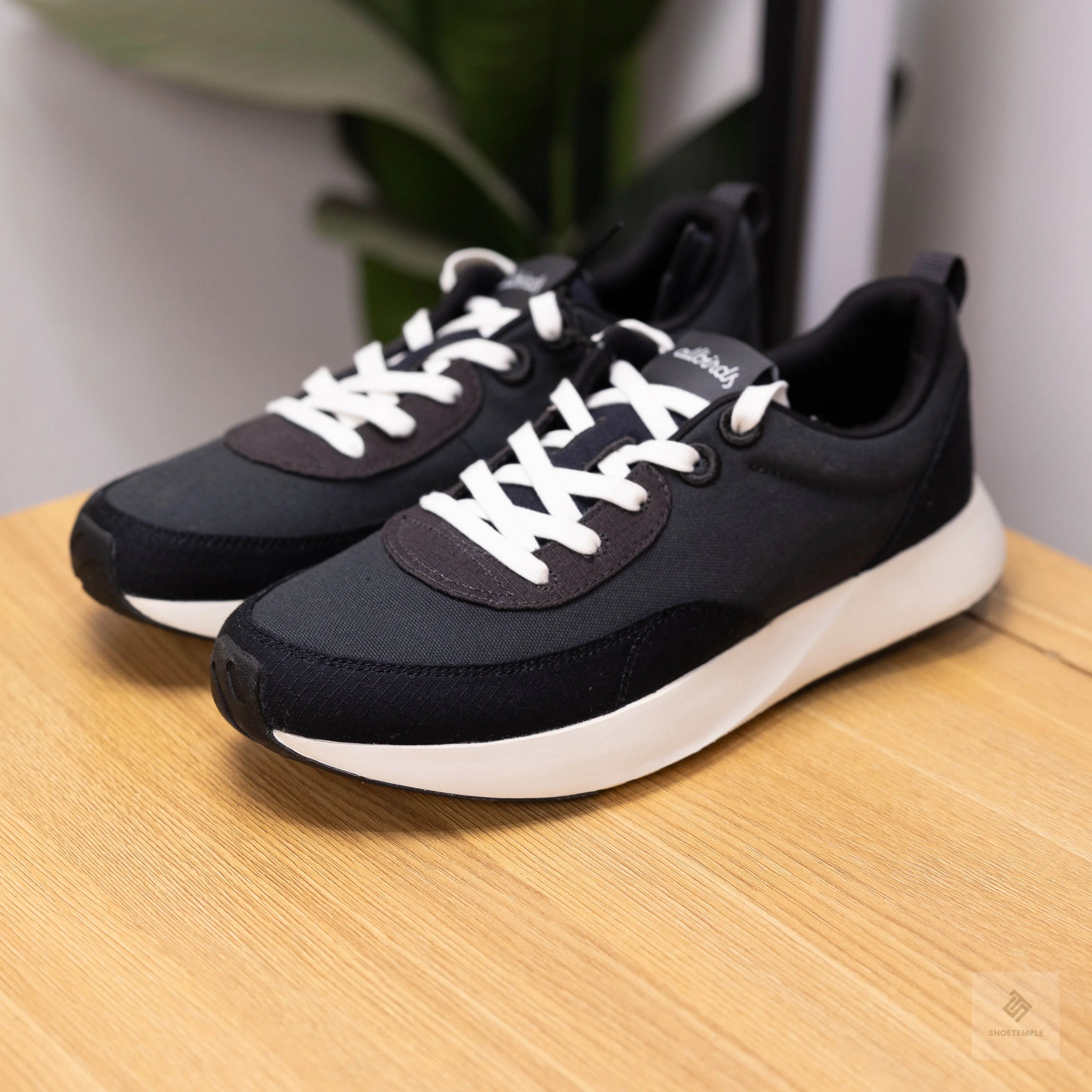 Allbirds Courier Men Sneaker
