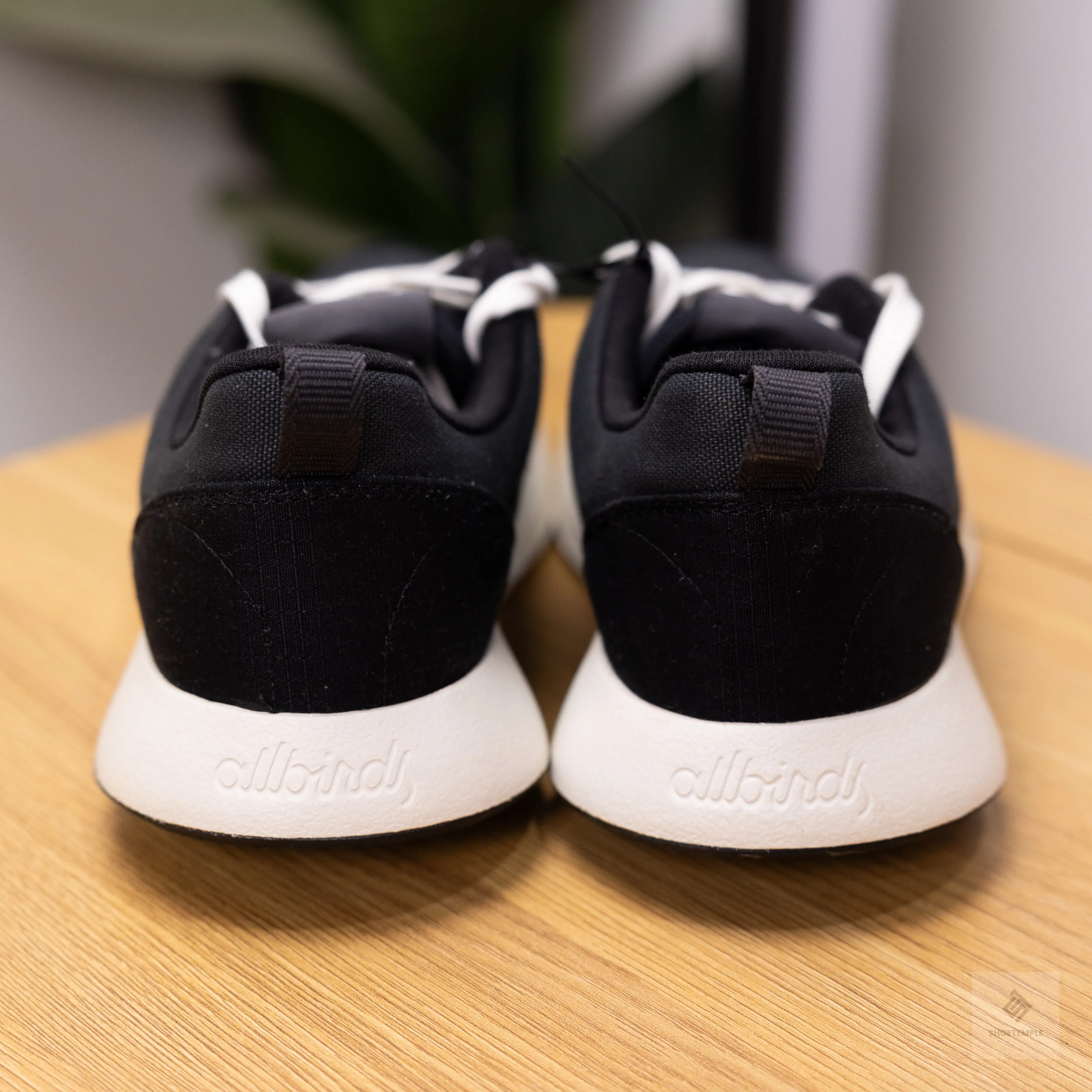 Allbirds Courier Men Sneaker